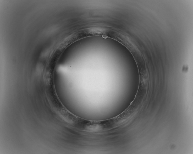 X0000096960551200802081233