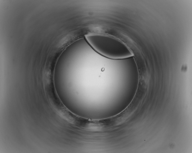 X0000096960556200802081233