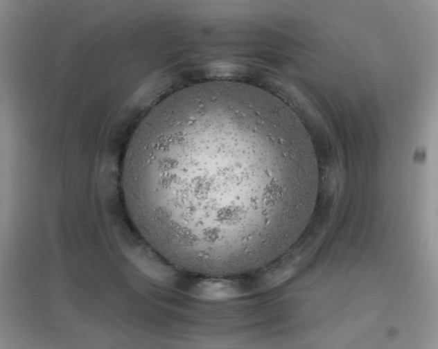 X0000096960557200802081233