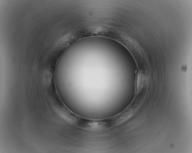 X0000096960558200802081233