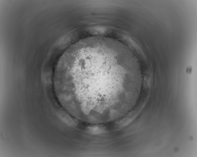 X0000096960561200802081233