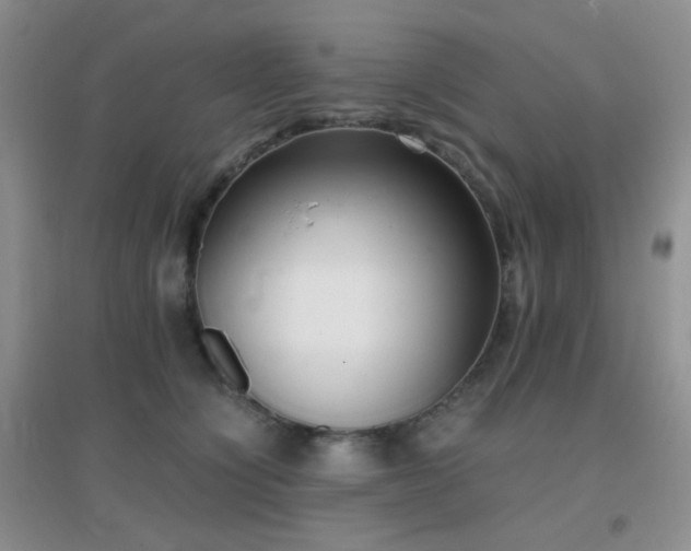 X0000096960564200802081233