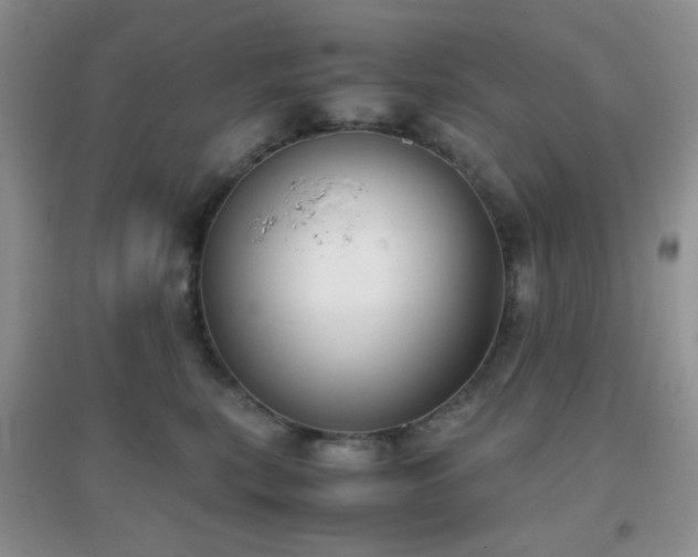 X0000096960567200802081233