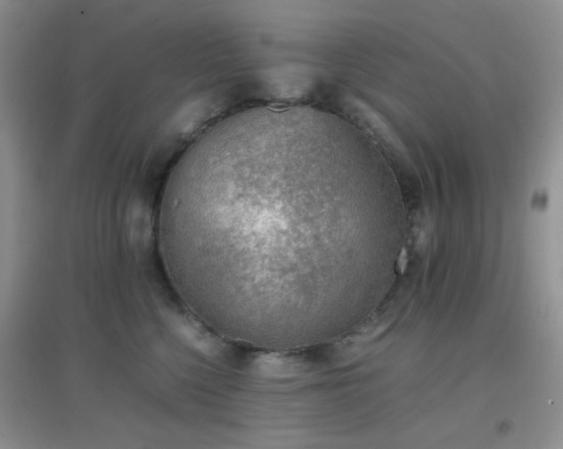 X0000096960568200802081233