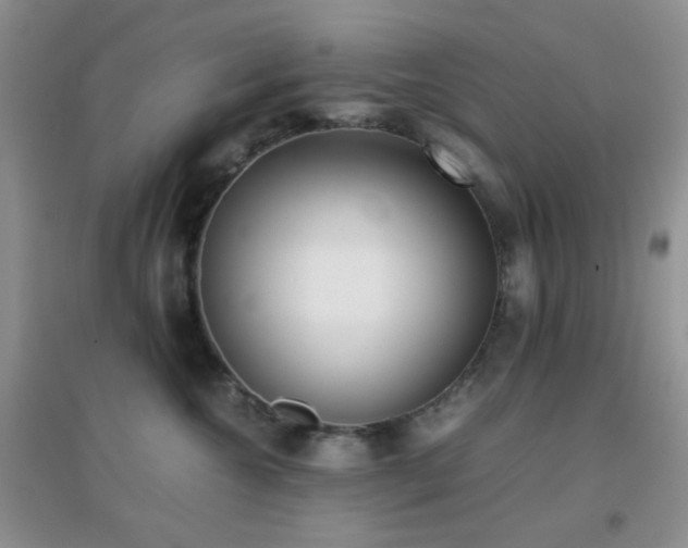 X0000096960572200802081233