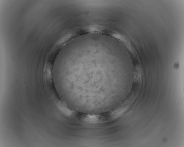 X0000096960573200802081233