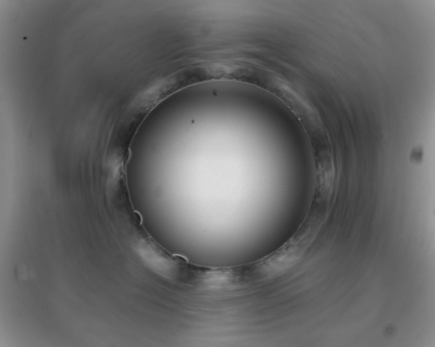 X0000096960574200802081233