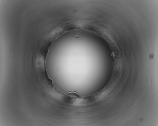 X0000096960575200802081233
