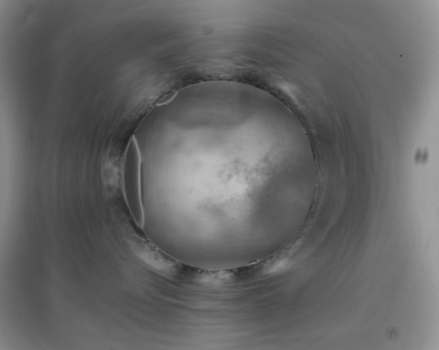 X0000096960576200802081233
