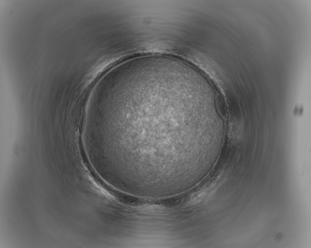 X0000096960577200802081232