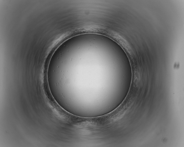 X0000096960578200802081232
