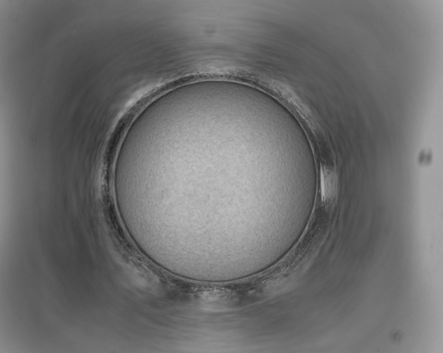 X0000096960579200802081232