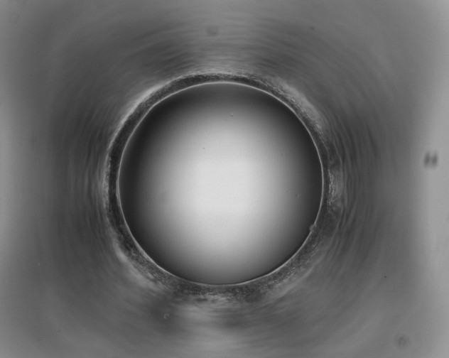 X0000096960580200802081232