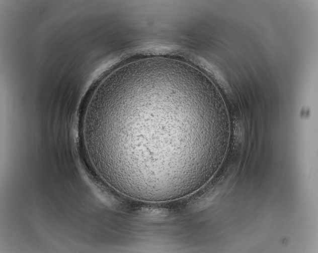 X0000096960582200802081232