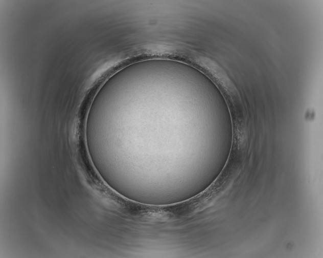 X0000096960583200802081232