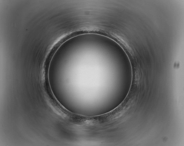 X0000096960584200802081232
