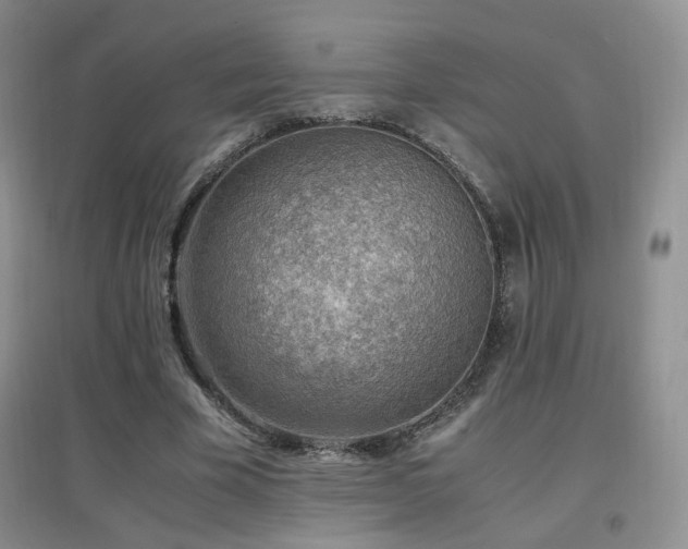 X0000096960585200802081232