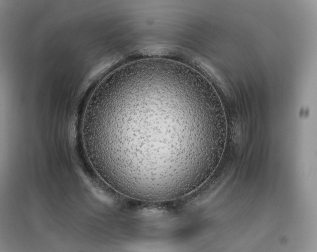 X0000096960586200802081232