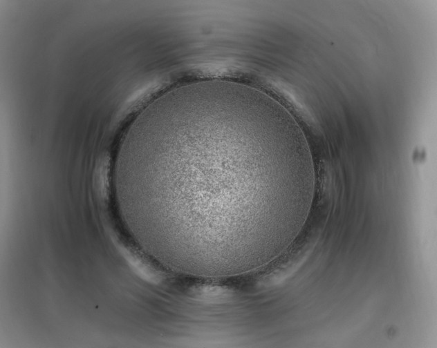 X0000096960590200802081232
