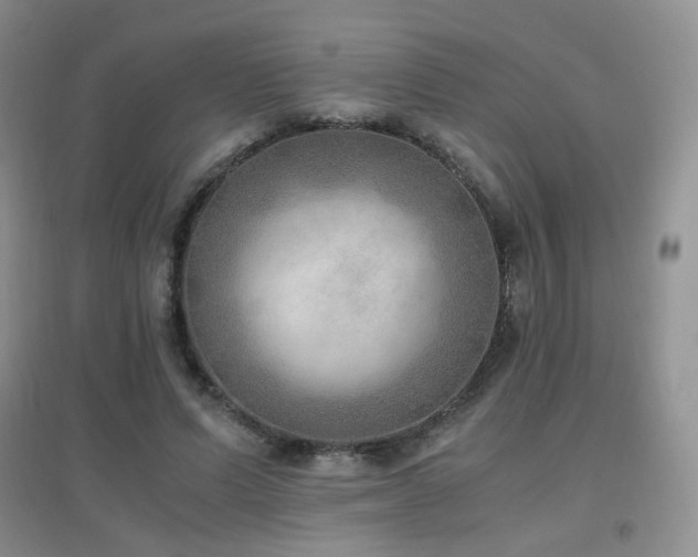 X0000096960591200802081232
