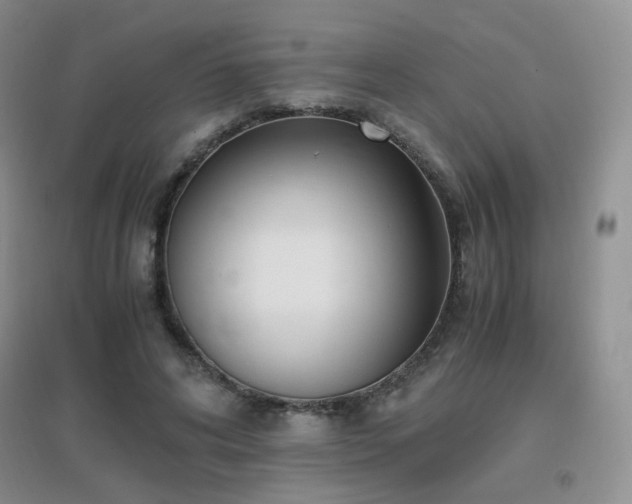 X0000096960592200802081232