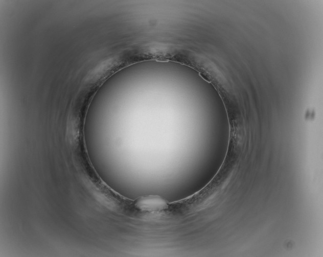 X0000096960593200802081232