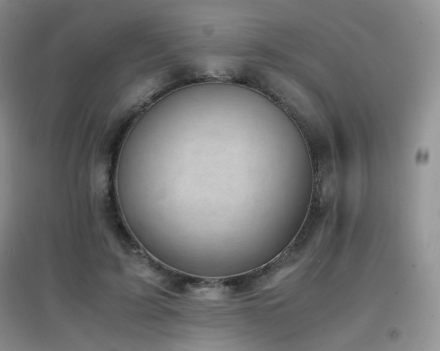 X0000096960595200802081232
