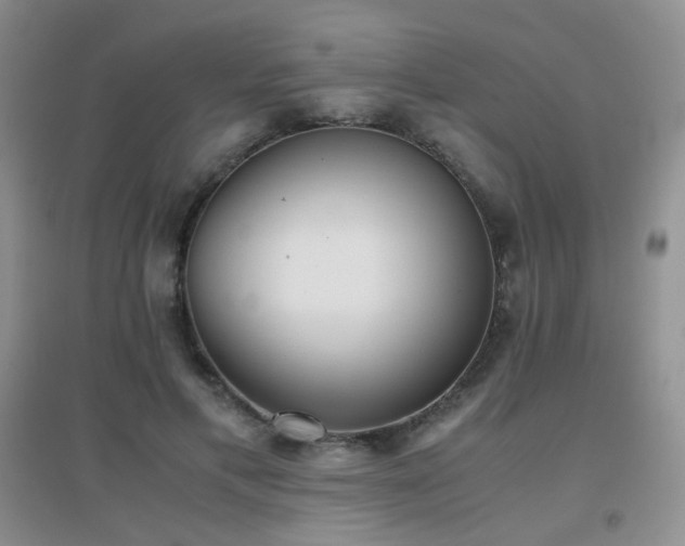 X0000096960597200802081232