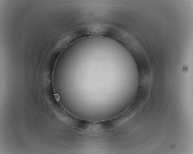 X0000096960599200802081232