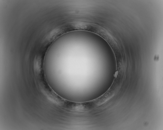 X0000096960600200802081232