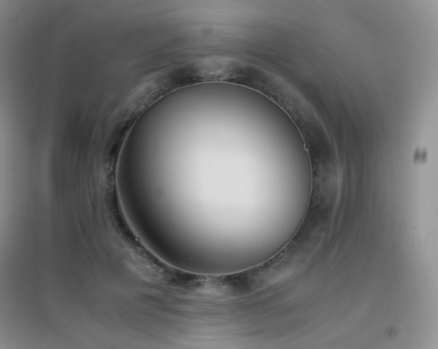 X0000096960601200802081232
