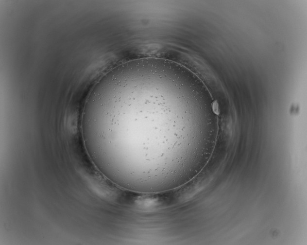 X0000096960602200802081232