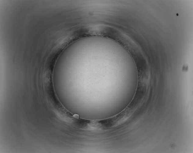 X0000096960603200802081232