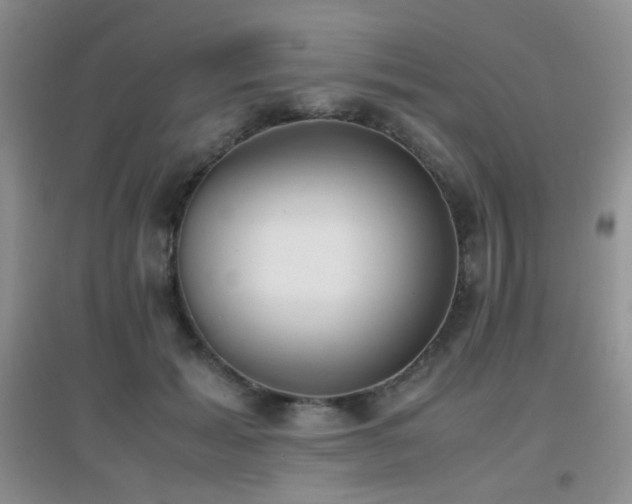 X0000096960605200802081232