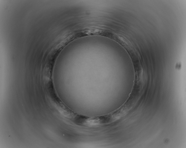 X0000096960606200802081232