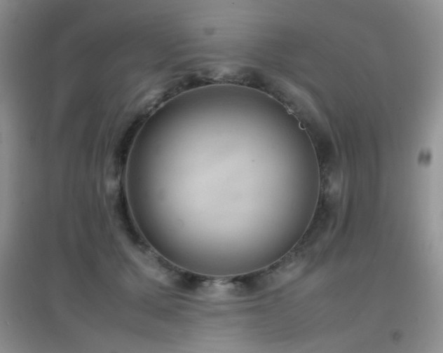 X0000096960607200802081232