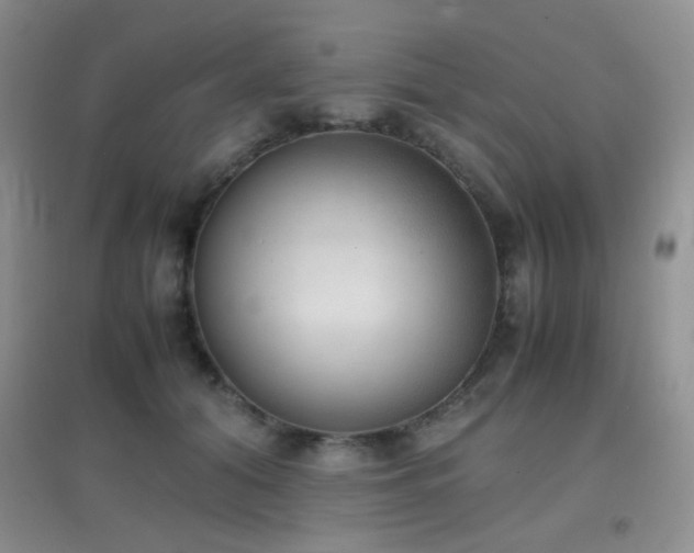 X0000096960608200802081232