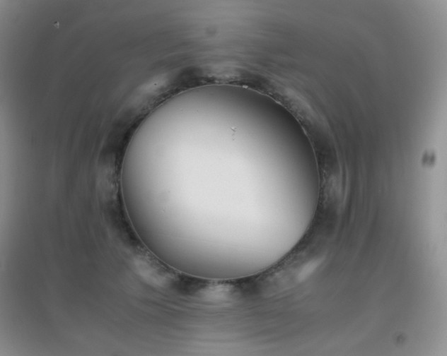 X0000096960609200802081232