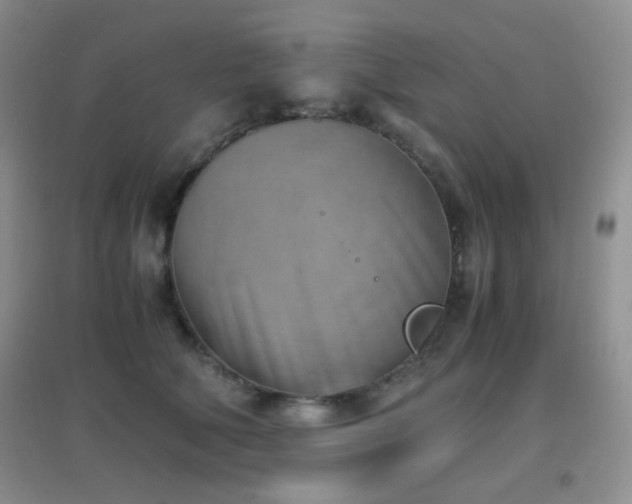 X0000096960610200802081232