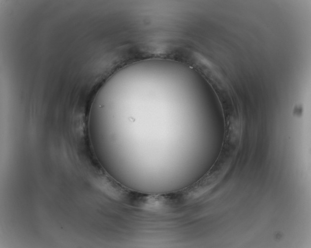 X0000096960612200802081232