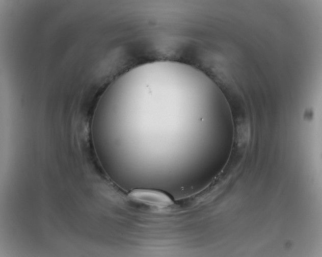 X0000096960613200802081232