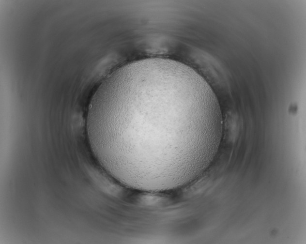 X0000096960614200802081232