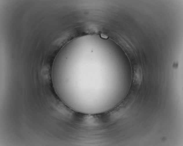 X0000096960616200802081232