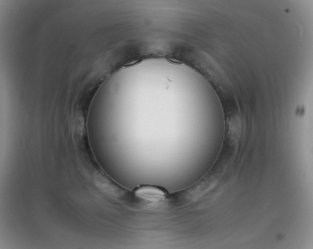 X0000096960617200802081232