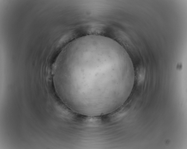 X0000096960619200802081232