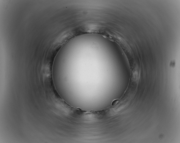 X0000096960620200802081232