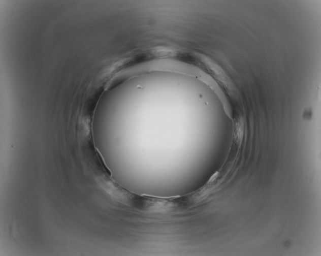 X0000096960621200802081232