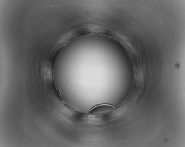 X0000096960622200802081232