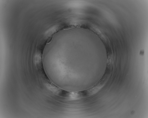 X0000096960623200802081232