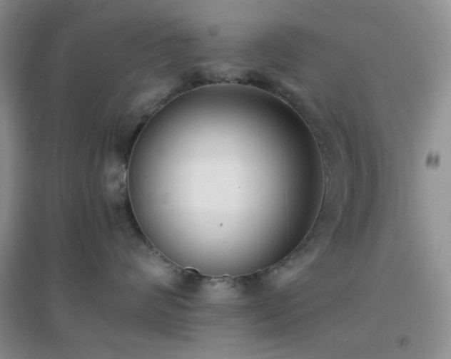 X0000096960624200802081232